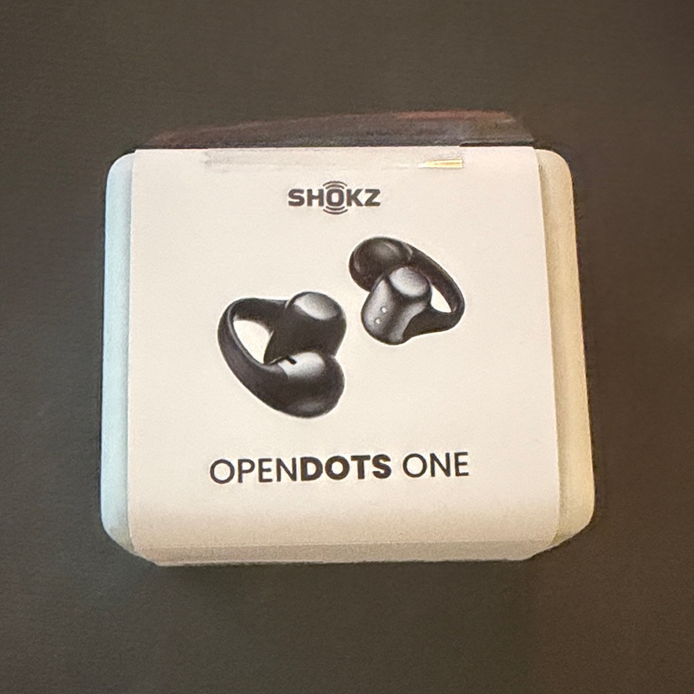 Shokz OpenDots One Black Earbud Headphones